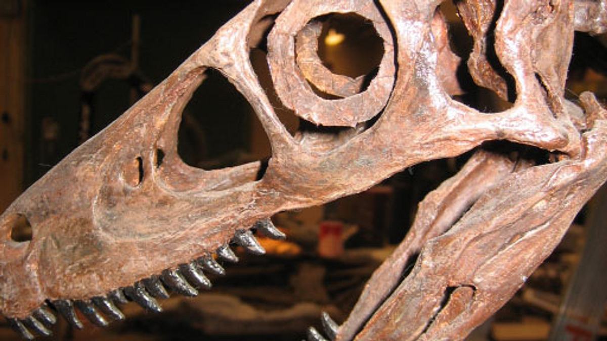 Friedhof der Dinosaurier friedhof der dinosaurier