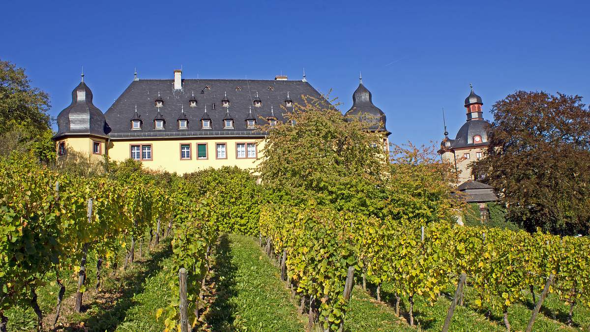 expedition in die heimat