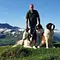 Schweizer Hundegeschichten Thumbnail