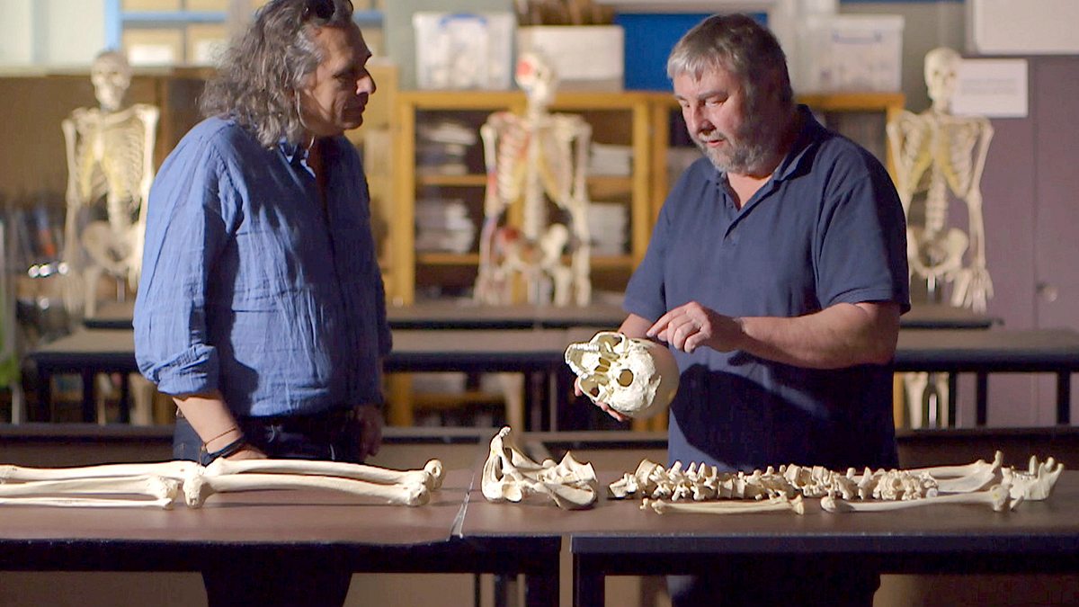 abenteuer archäologie