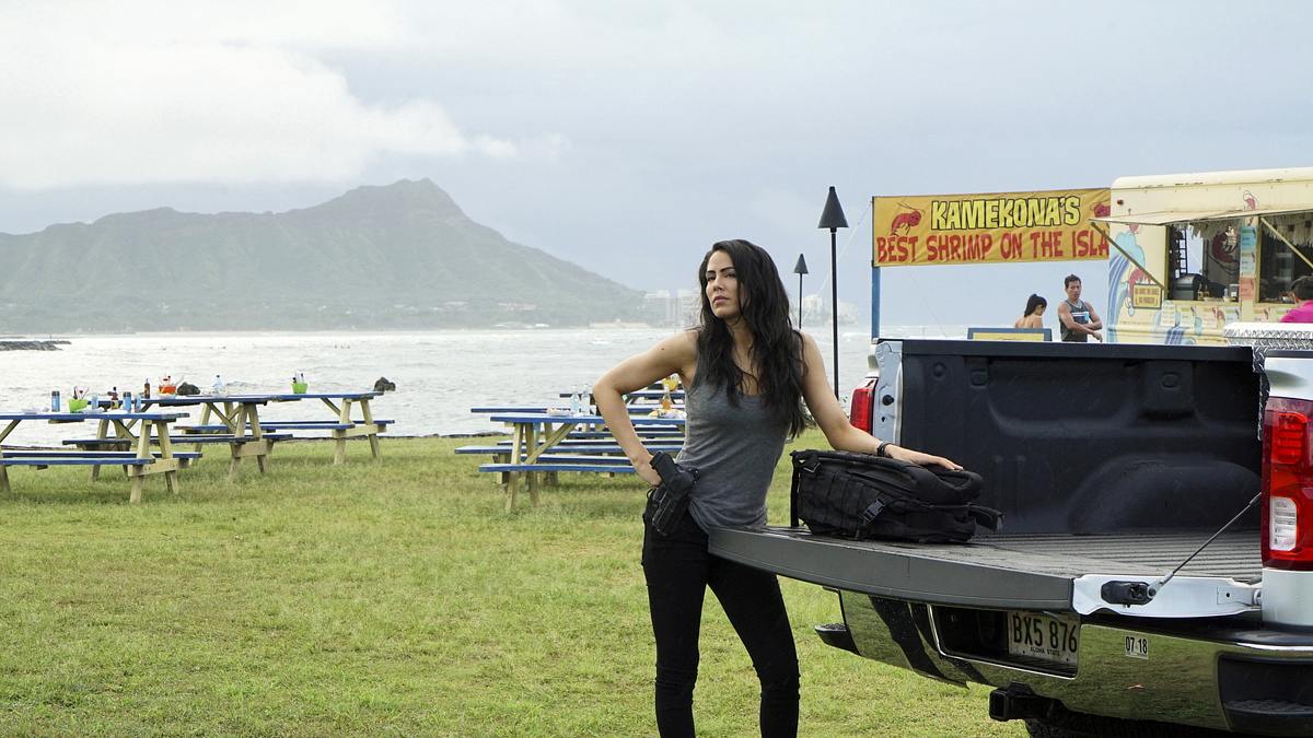 hawaii five-0