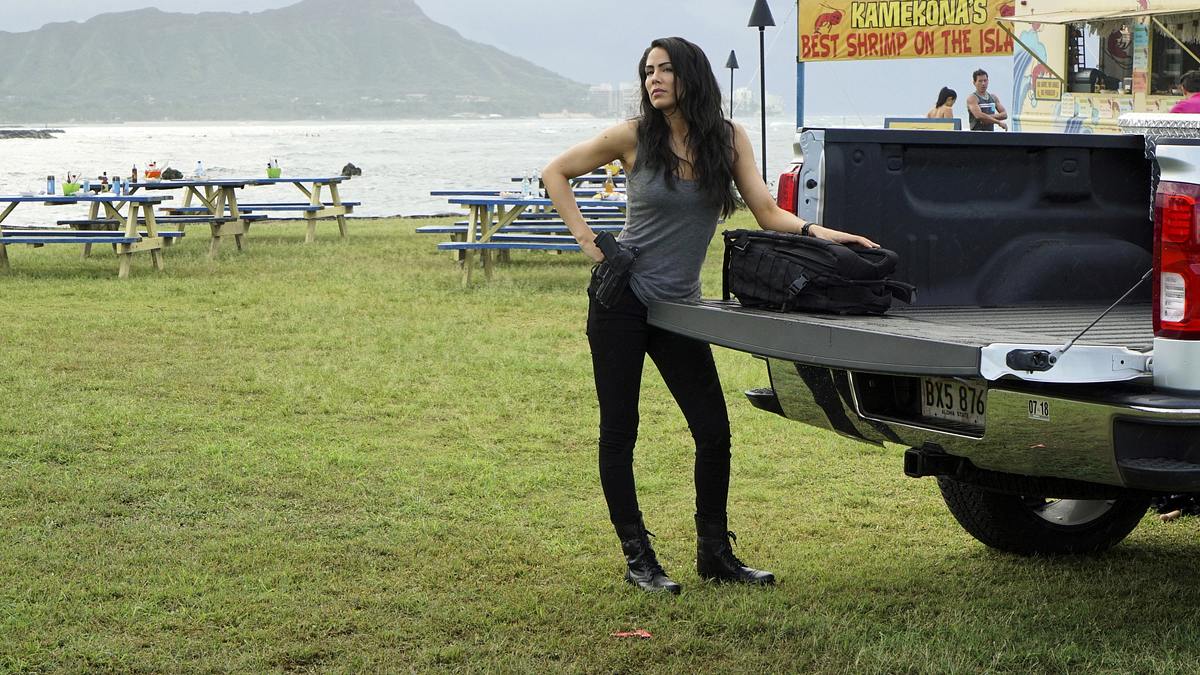 hawaii five-0
