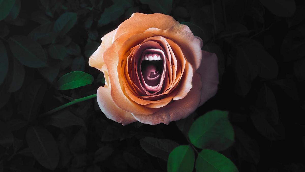 ROAR – Frauen, die ihre Stimme erheben ROAR – Frauen, die ihre Stimme erheben