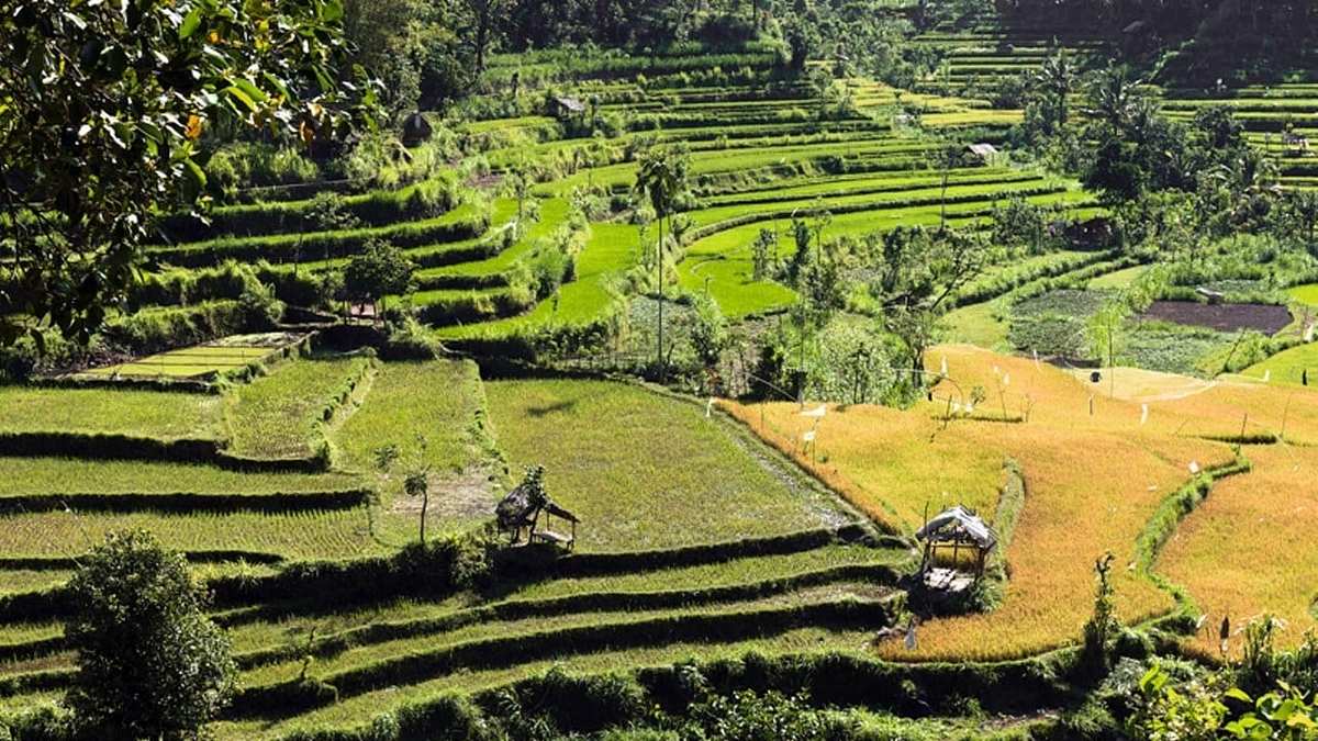 Tropenparadies Bali - Eine Perle Indonesiens Tropenparadies Bali - Eine Perle Indonesiens