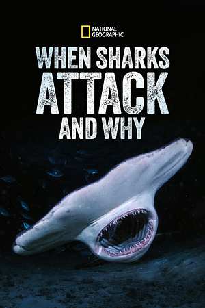 When Sharks Attack... and Why - Foto: TMDB