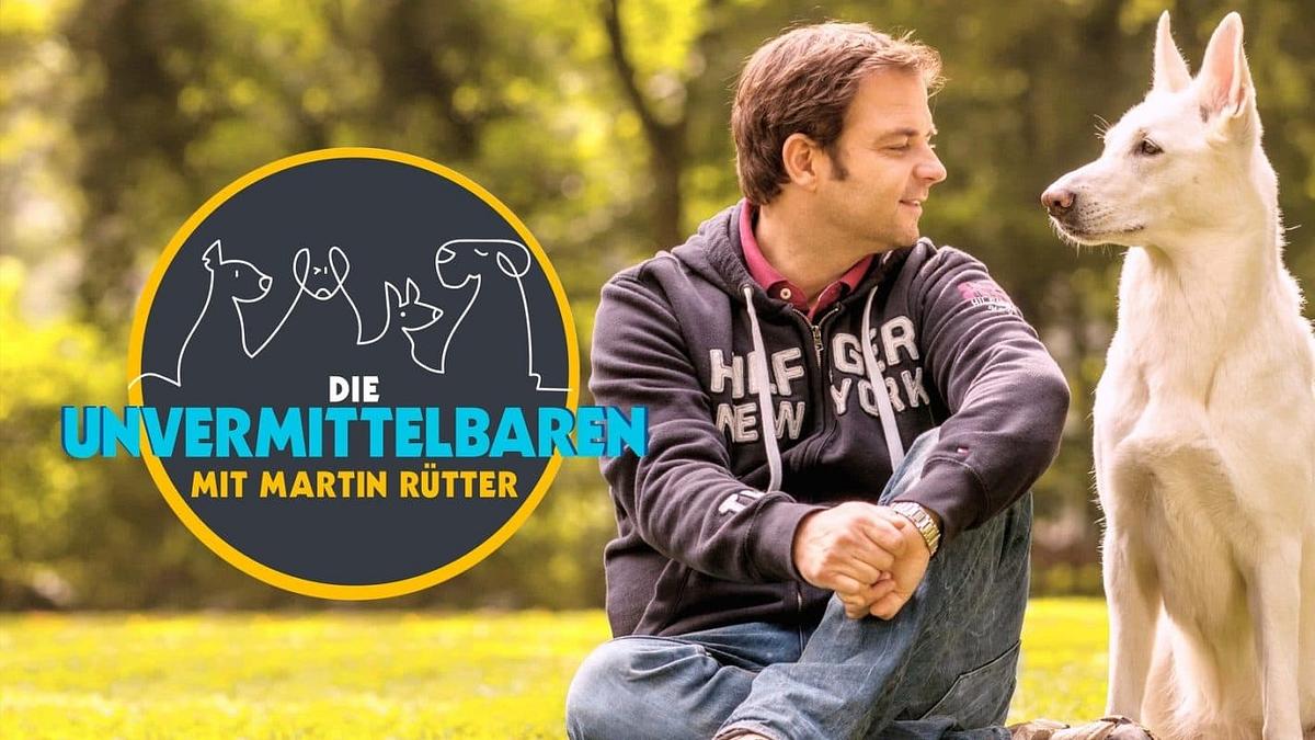 Die Unvermittelbaren – mit Martin Rütter Die Unvermittelbaren – mit Martin Rütter