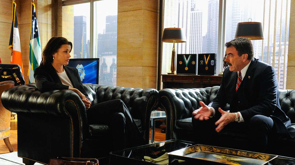 blue bloods - crime scene new york