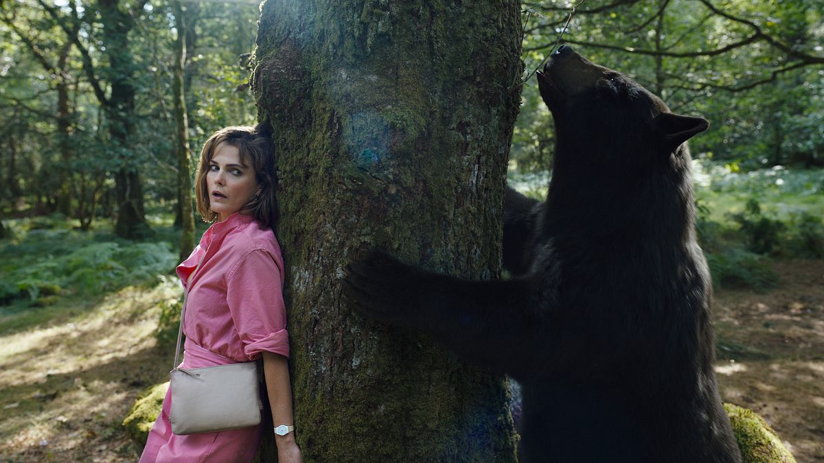 cocaine bear