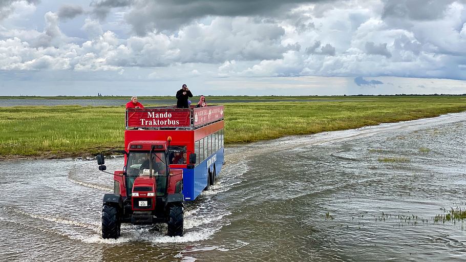 die dänischen wattenmeer-inseln - rømø, fanø und mandø