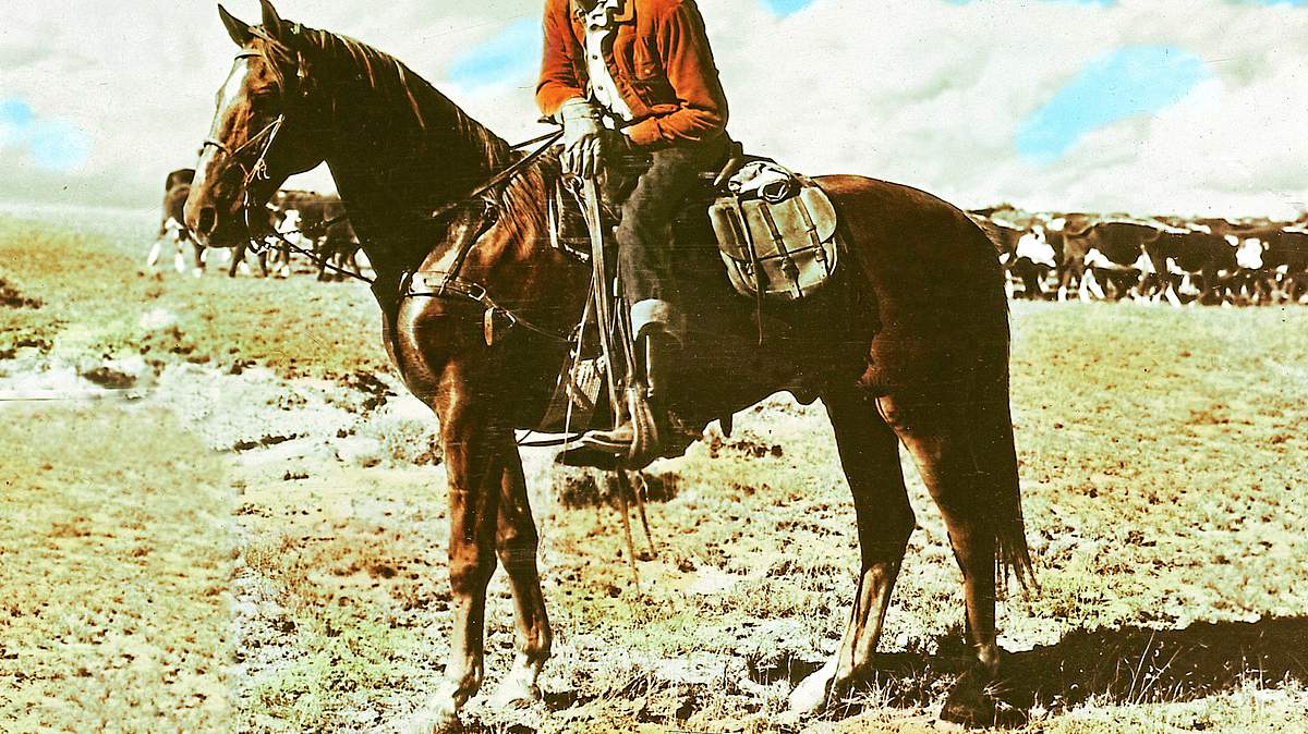 der mann aus laramie