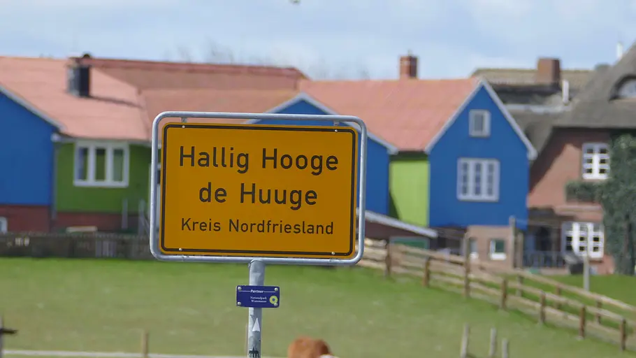 die halligen im wattenmeer