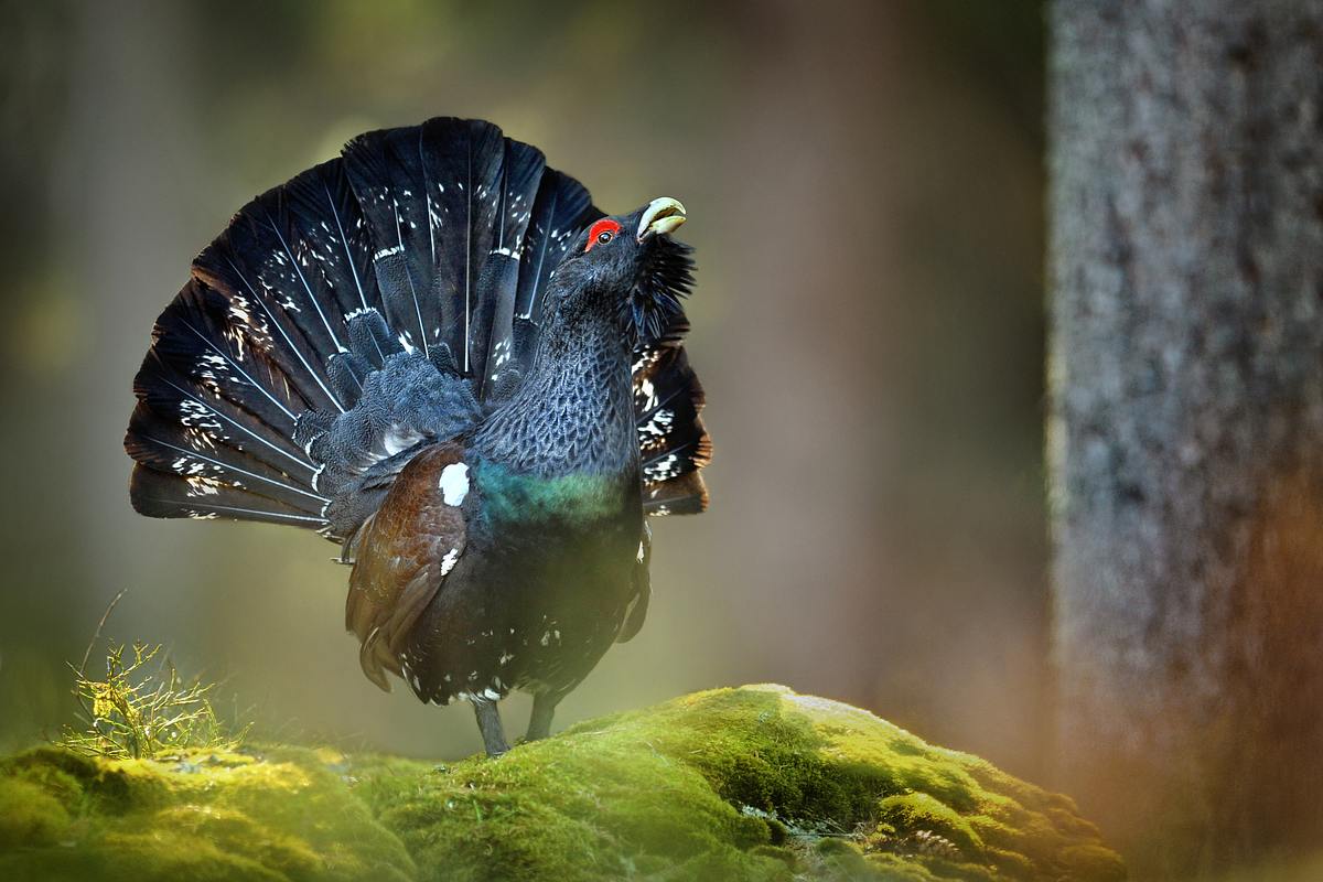 Abenteuer Wildnis abenteuer wildnis