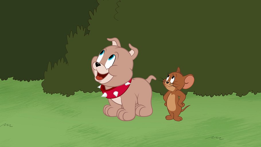 die tom und jerry show