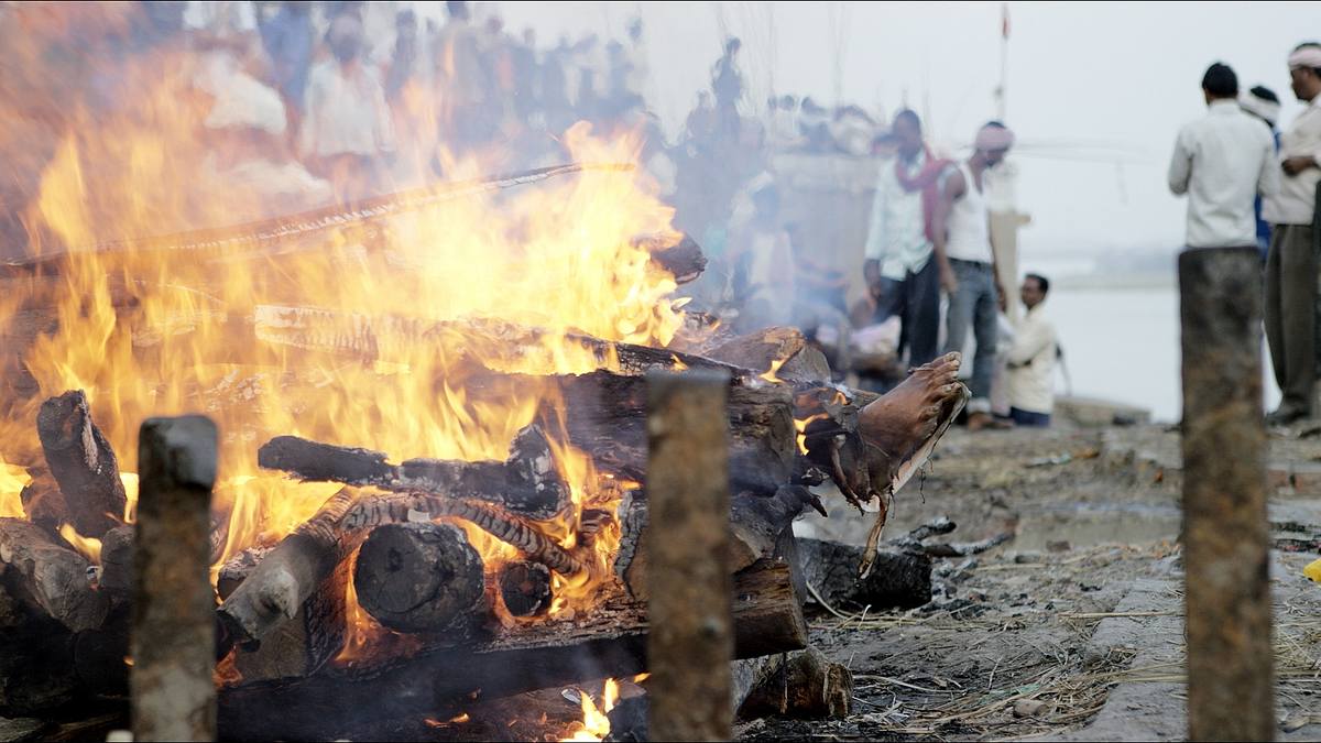 verborgen im dschungel - geheimnisse aus der vergangenheit