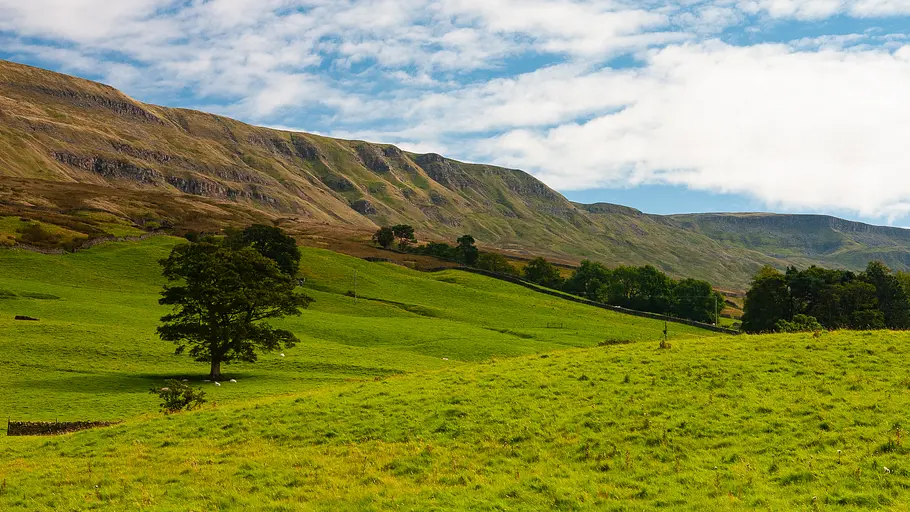 yorkshire: ein jahr in der wildnis