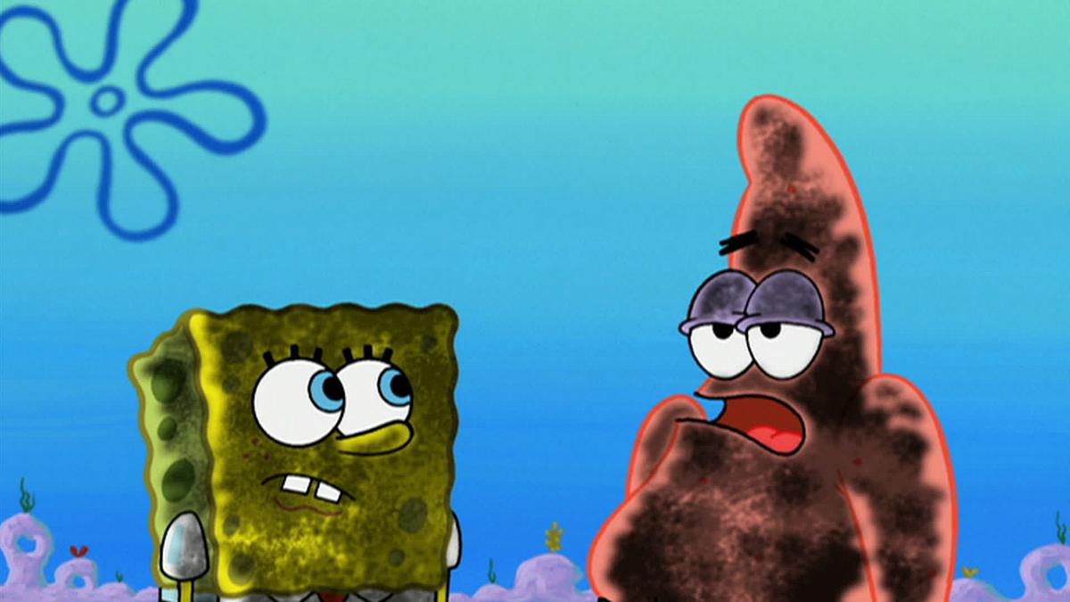 spongebob schwammkopf