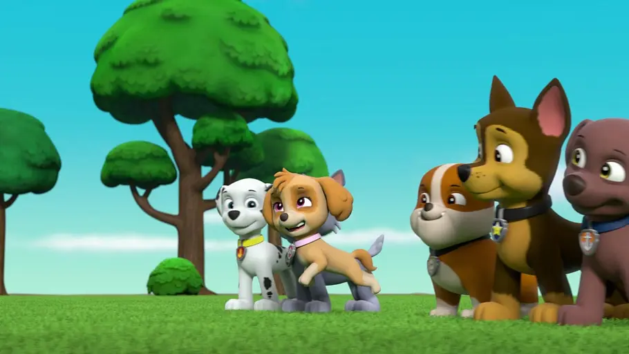 Paw Patrol - Helfer auf vier Pfoten paw patrol - helfer auf vier pfoten