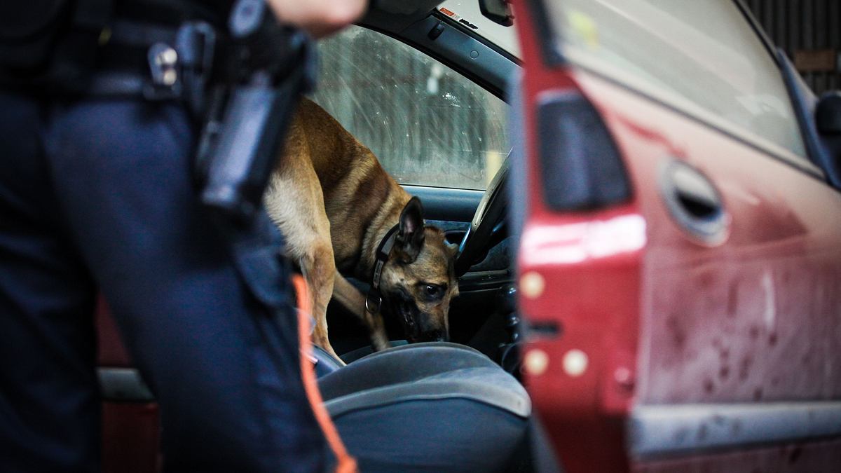 border patrol usa - einsatz an mexikos grenze