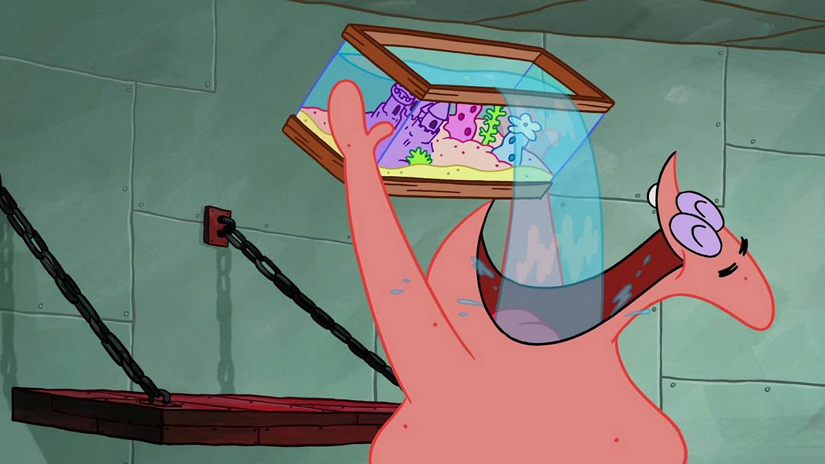 spongebob schwammkopf