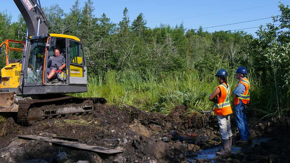 oak island - fluch und legende