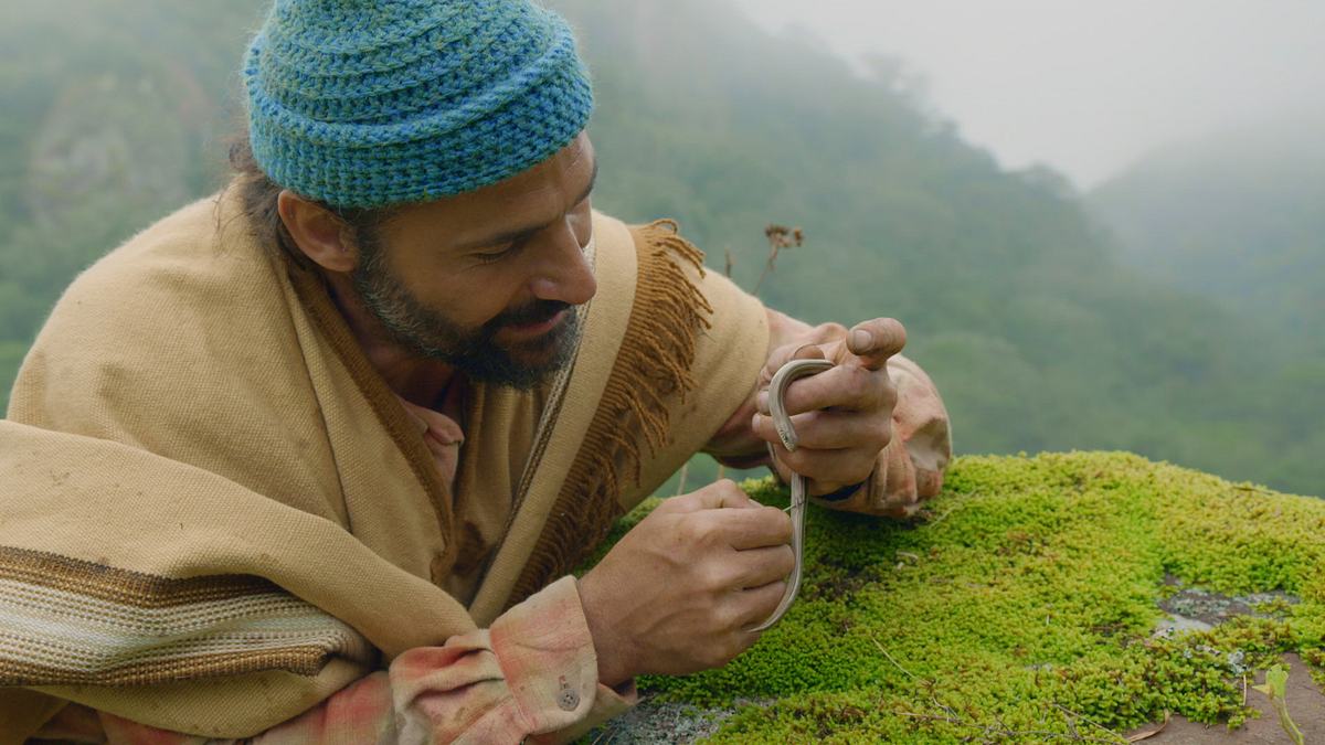 extreme survival mit hazen audel: über die anden