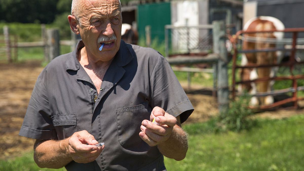 der unglaubliche dr. pol