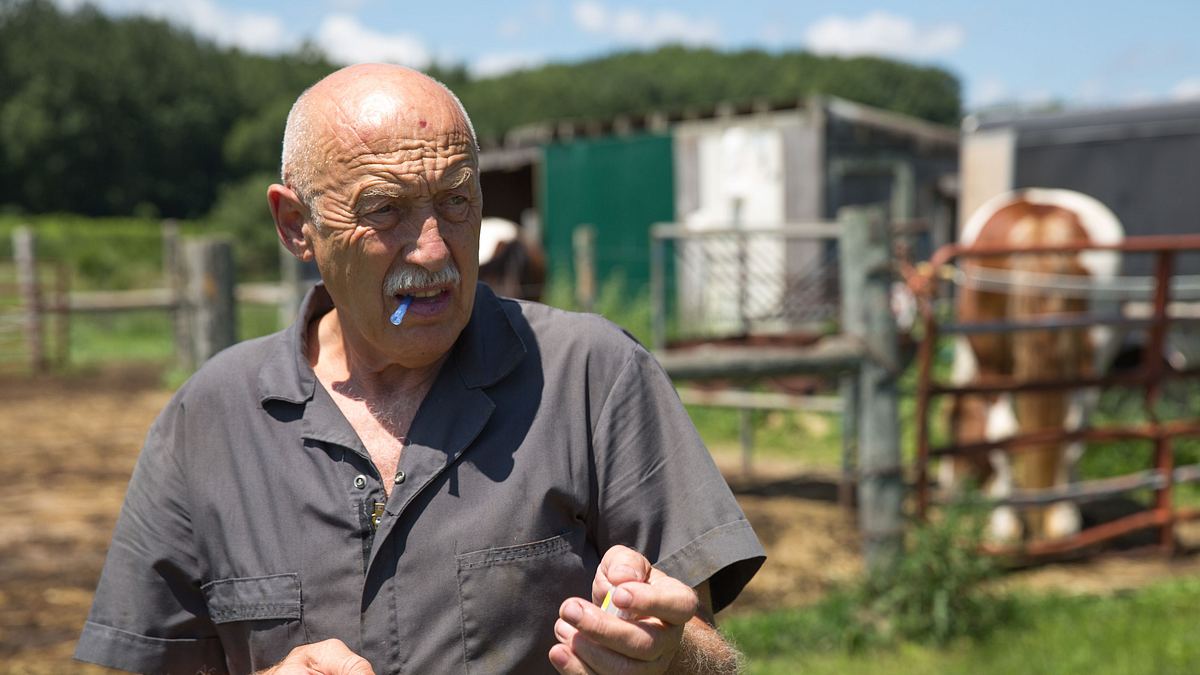 der unglaubliche dr. pol