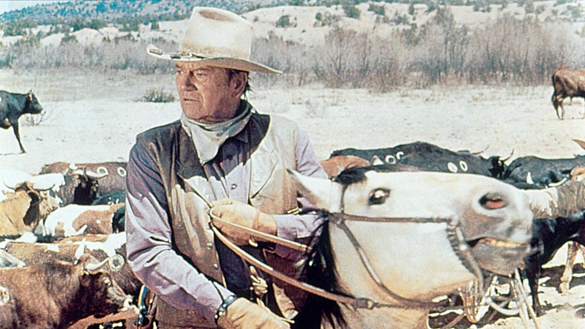 die cowboys