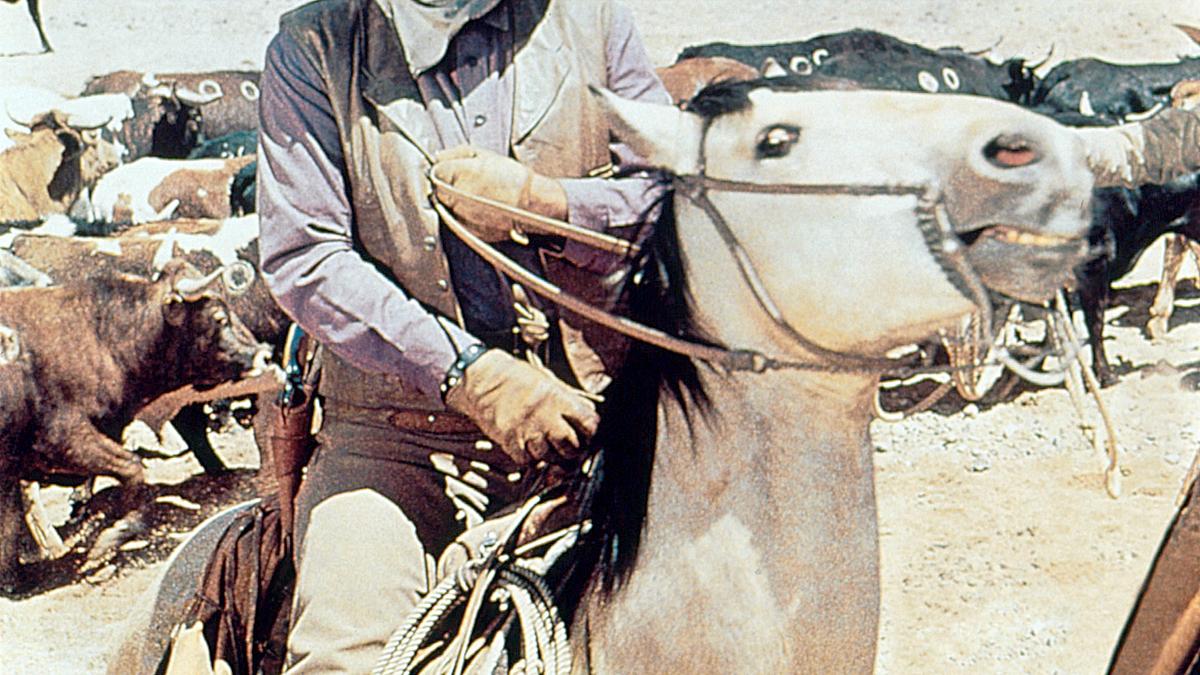 die cowboys