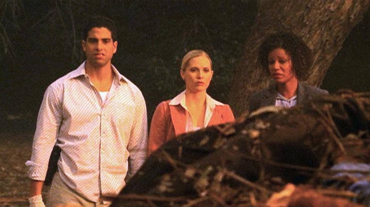 csi: miami