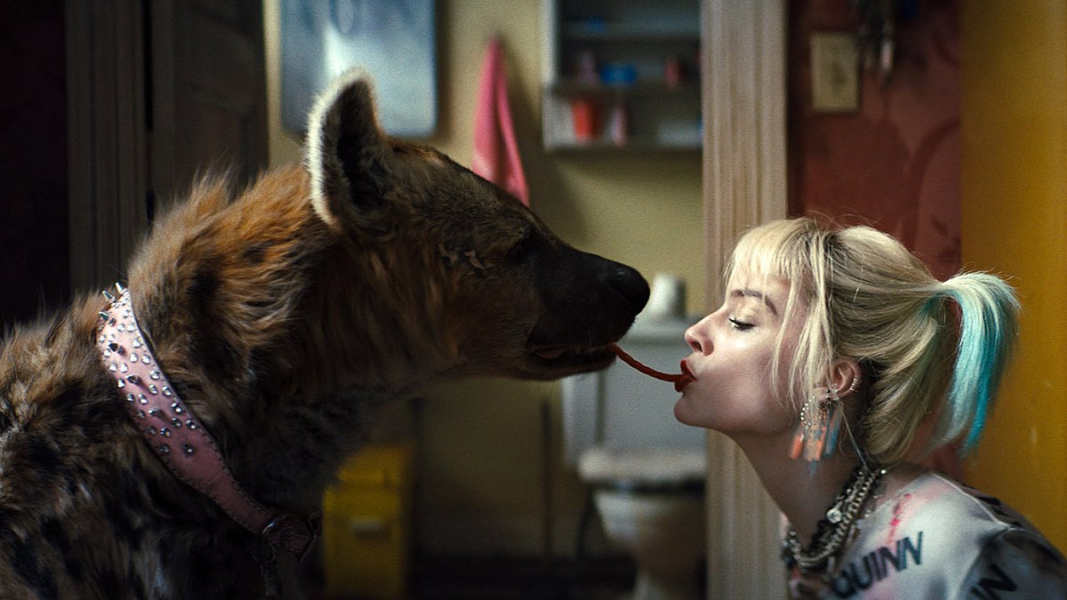 harley quinn: birds of prey