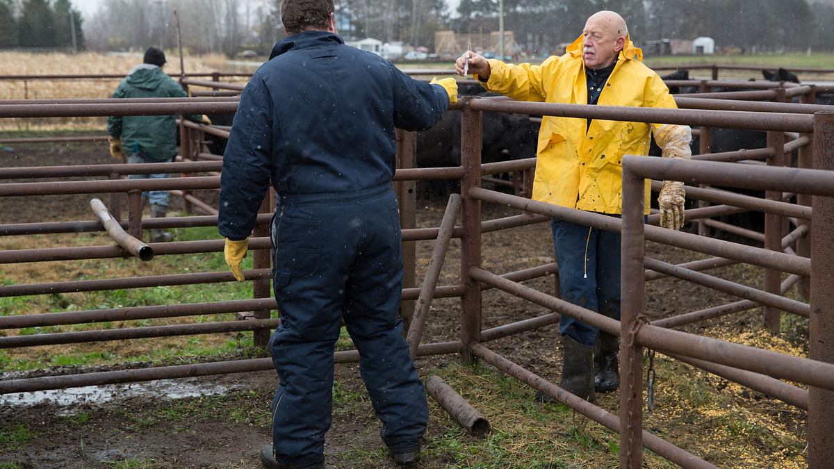der unglaubliche dr. pol