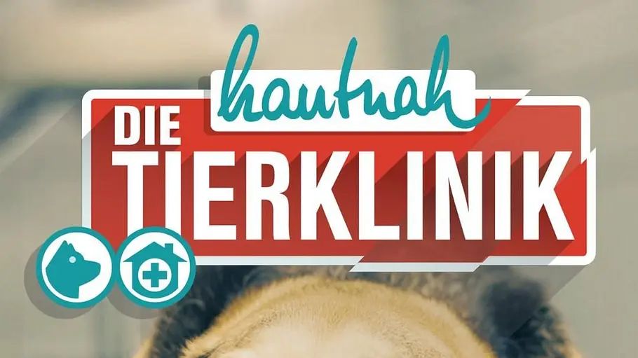hautnah: die tierklinik