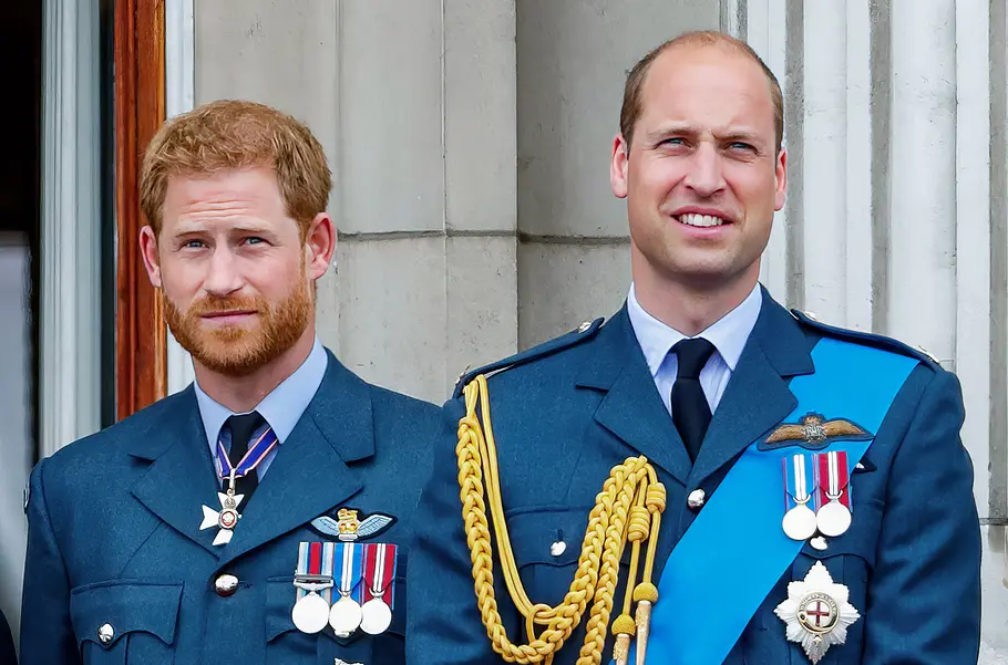 Harry vs. William - Der royale Bruderzwist harry vs. william - der royale bruderzwist
