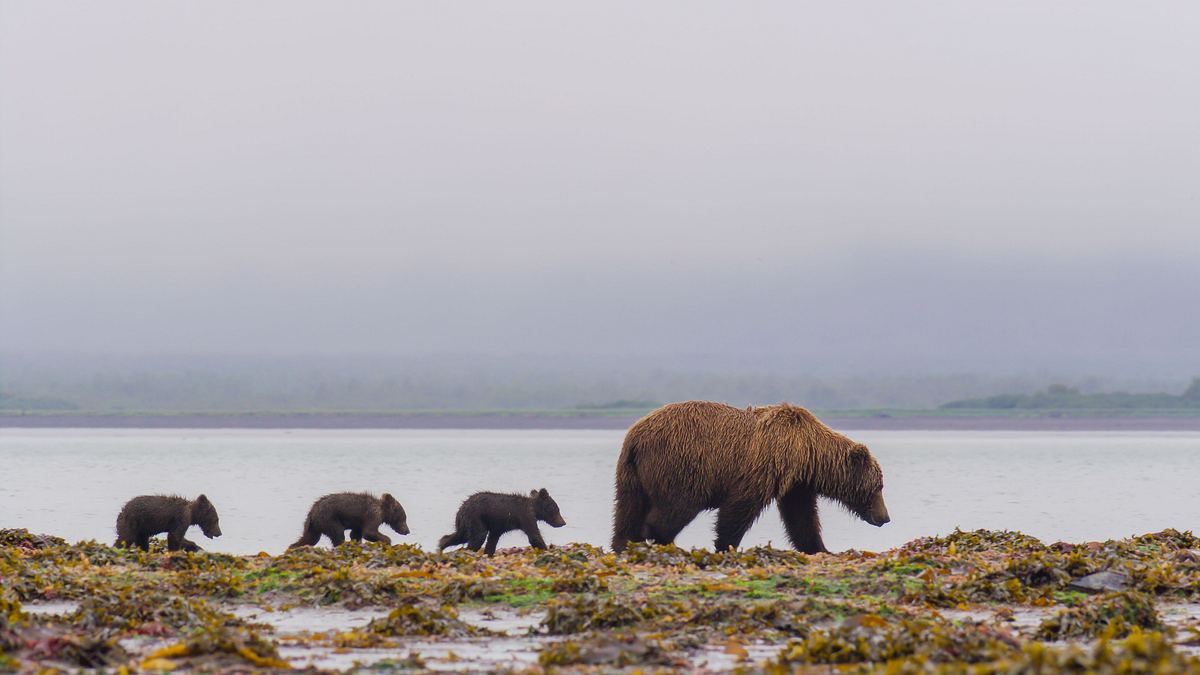 nationalparks: usa