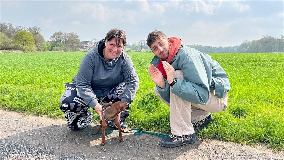 jason und die haustiere