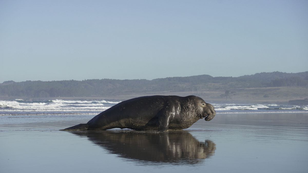 amerikas nationalparks
