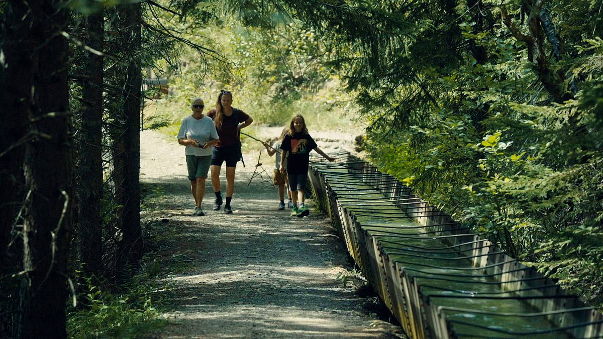 Wanderparadies Schweiz wanderparadies schweiz