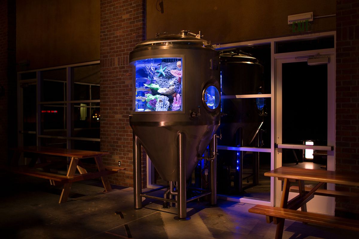 Die Aquarium-Profis die aquarium-profis