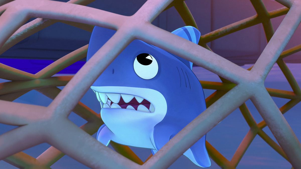 Sharkdog sharkdog