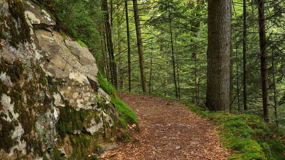 wanderwege, die sie kennen sollten