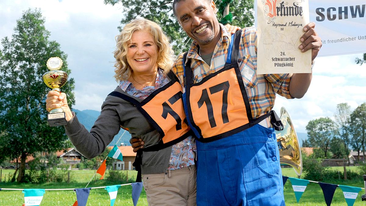 24 milchkühe und kein mann