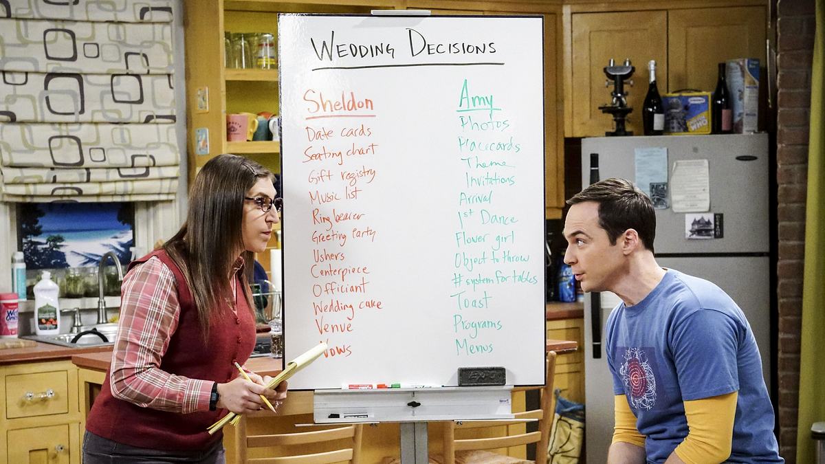 the big bang theory