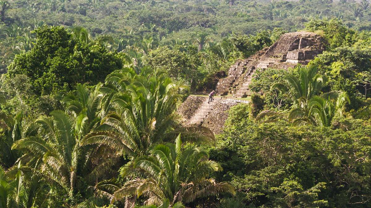 ed stafford: into the jungle
