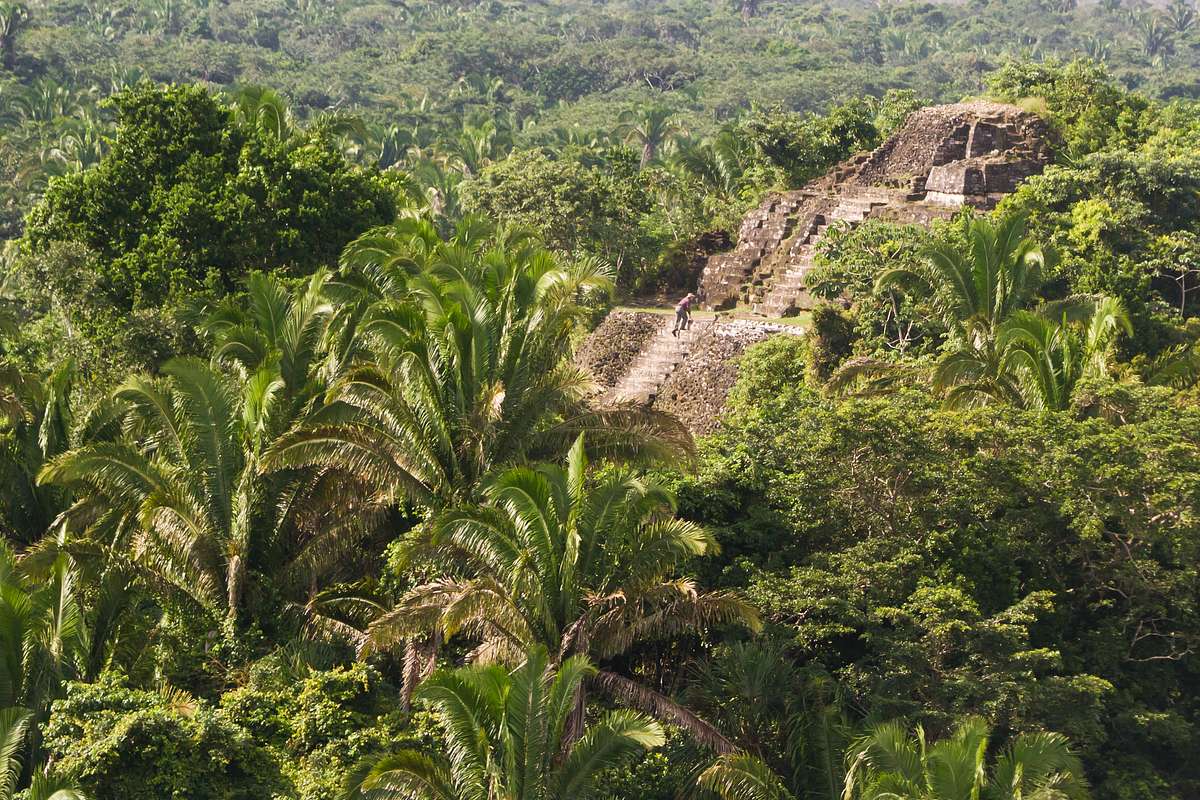 ed stafford: into the jungle