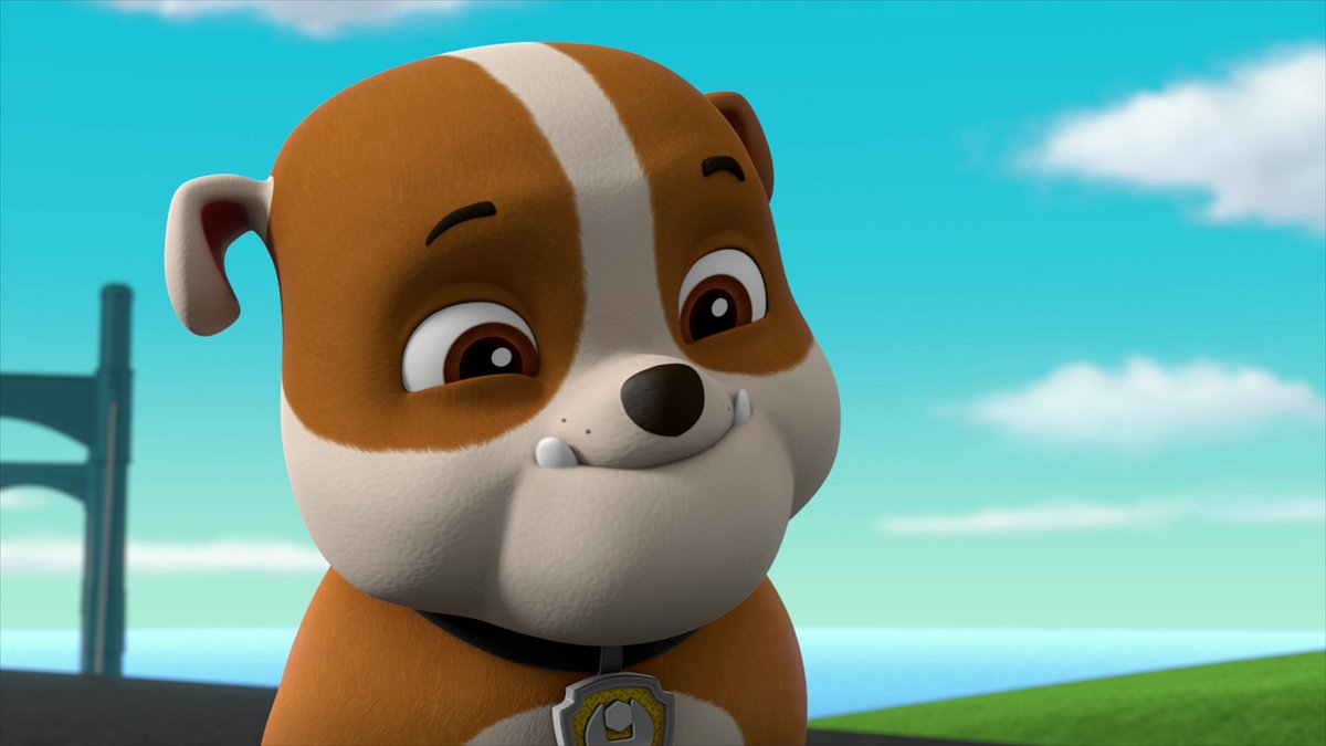 Paw Patrol - Helfer auf vier Pfoten paw patrol - helfer auf vier pfoten