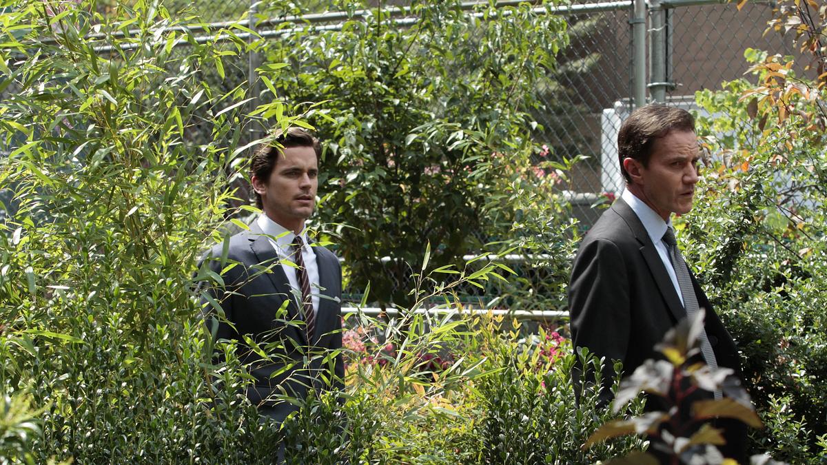 white collar