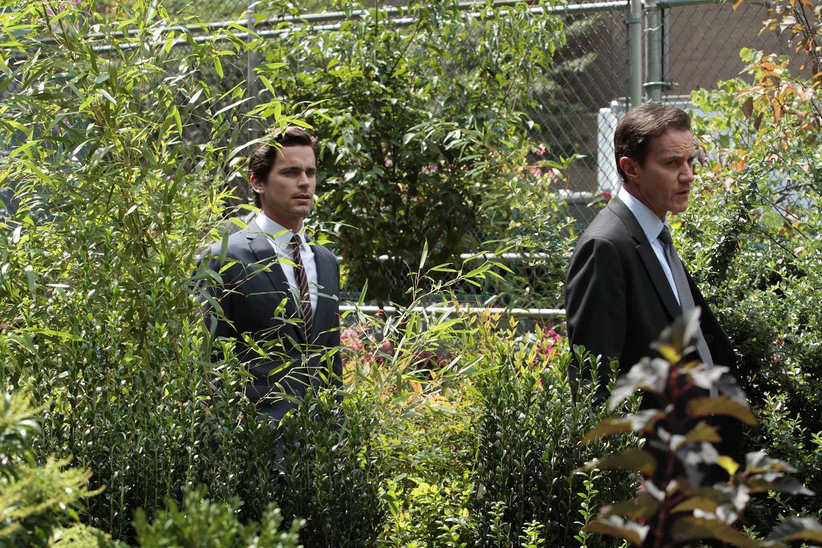 White Collar white collar