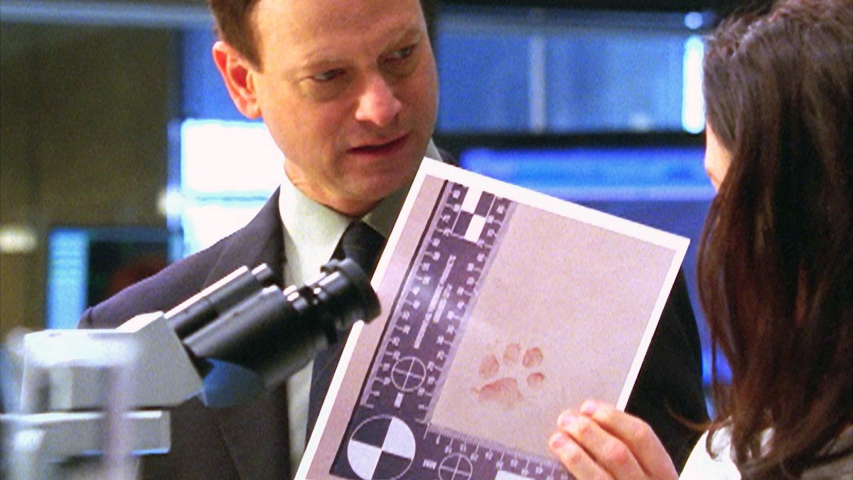 csi: ny