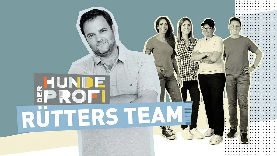 Der Hundeprofi - Rütters Team der hundeprofi - rütters team